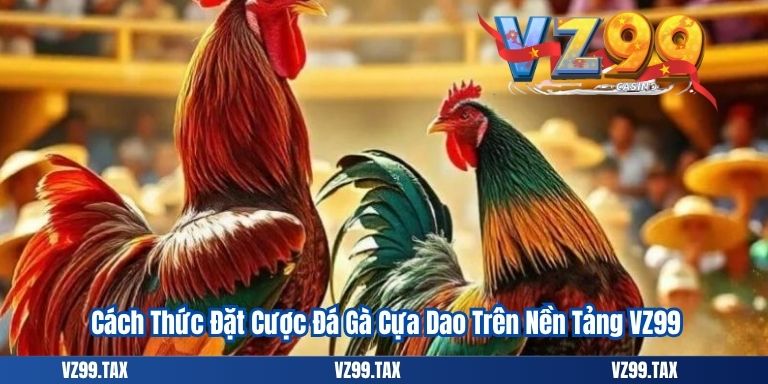 Đá Gà Cựa Dao 2025 – Trải Nghiệm Cá Cược Đỉnh Cao 5 Cách Thức Đặt Cược Đá Gà Cựa Dao Trên Nền Tảng VZ99
