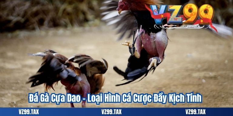 Đá Gà Cựa Dao 2025 – Trải Nghiệm Cá Cược Đỉnh Cao 2 Đá Gà Cựa Dao – Loại Hình Cá Cược Đầy Kịch Tính