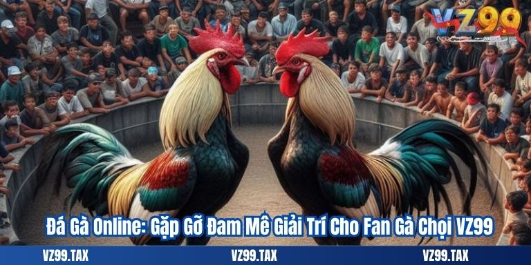 Đá Gà Online VZ99: Gặp Gỡ Đam Mê Giải Trí Cho Fan Gà Chọi VZ99 4 Đá Gà Online: Gặp Gỡ Đam Mê Giải Trí Cho Fan Gà Chọi VZ99