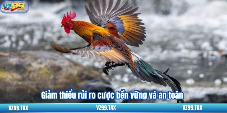 Đá Gà Trực Tiếp C4 - Trải Nghiệm Đặc Biệt Tại VZ99 5 Giảm thiểu rủi ro cược bền vững và an toàn