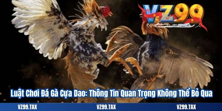 Đá Gà Cựa Dao 2025 – Trải Nghiệm Cá Cược Đỉnh Cao 3 Luật Chơi Đá Gà Cựa Dao: Thông Tin Quan Trọng Không Thể Bỏ Qua