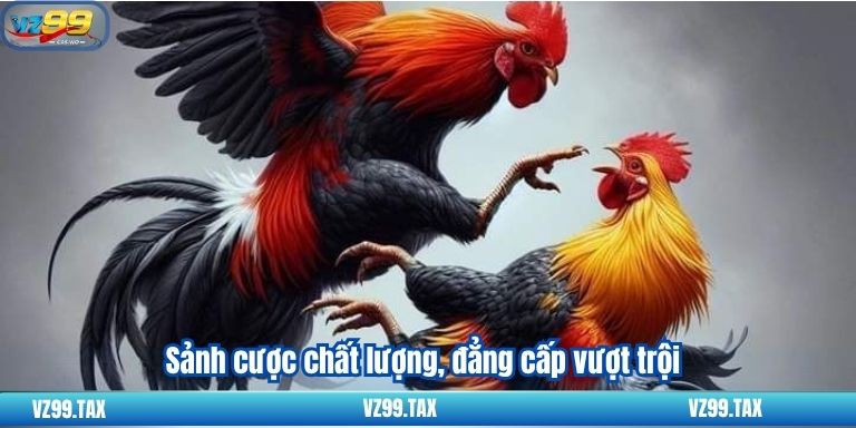 Đá Gà Trực Tiếp C4 - Trải Nghiệm Đặc Biệt Tại VZ99 3 Sảnh cược chất lượng, đẳng cấp vượt trội