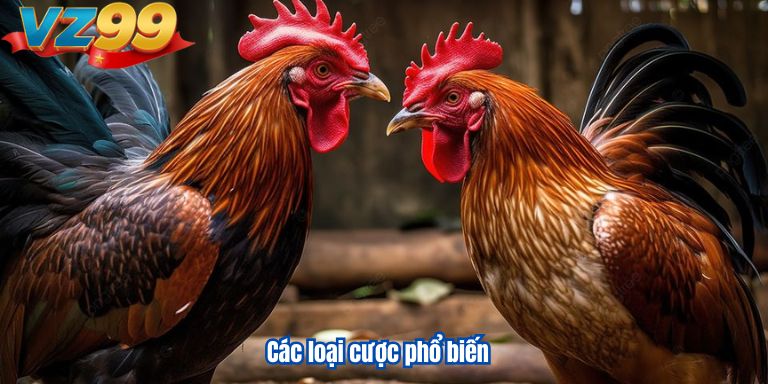 Đá Gà Phi VZ99 – Mãn Nhãn Với Những Trận Đấu Kê Đỉnh Cao 4 Các loại cược phổ biến