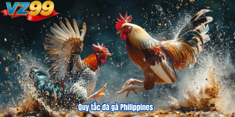 Đá Gà Phi VZ99 – Mãn Nhãn Với Những Trận Đấu Kê Đỉnh Cao 3 Quy tắc đá gà Philippines