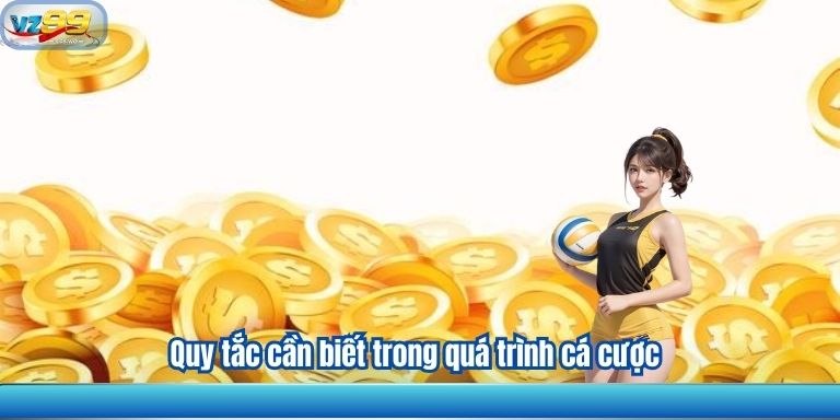 ĐIỀU KHOẢN SỬ DỤNG VZ99 3 Quy tắc cần biết trong quá trình cá cược