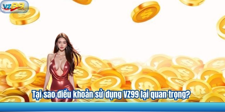 ĐIỀU KHOẢN SỬ DỤNG VZ99 1 Tại sao điều khoản sử dụng VZ99 lại quan trọng?
